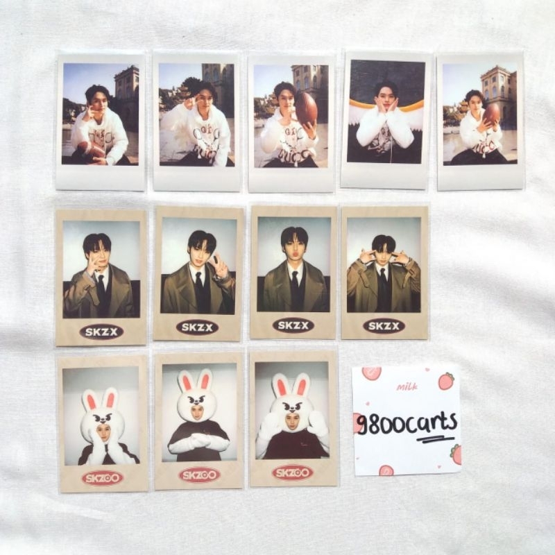 Photocard Stray Kids SKZOO