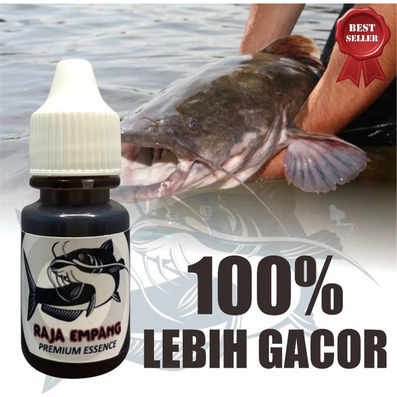 RK Essen ikan lele raja empang essen ikan lele khusu induk galatama essen galatama lele paling gacor