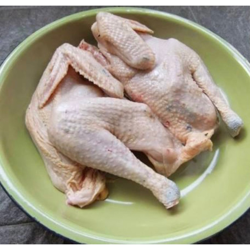 

Ayam Kampung berat 0,9 kg per ekor
