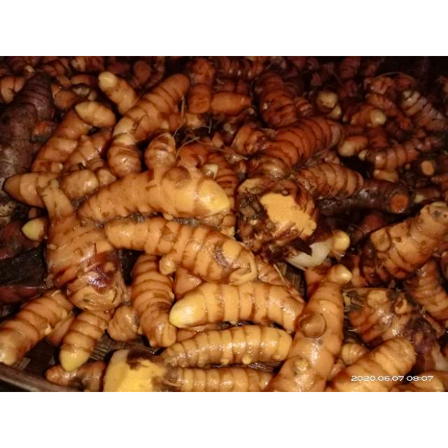 

KUNYIT BESAR SUPER MURAH 500g