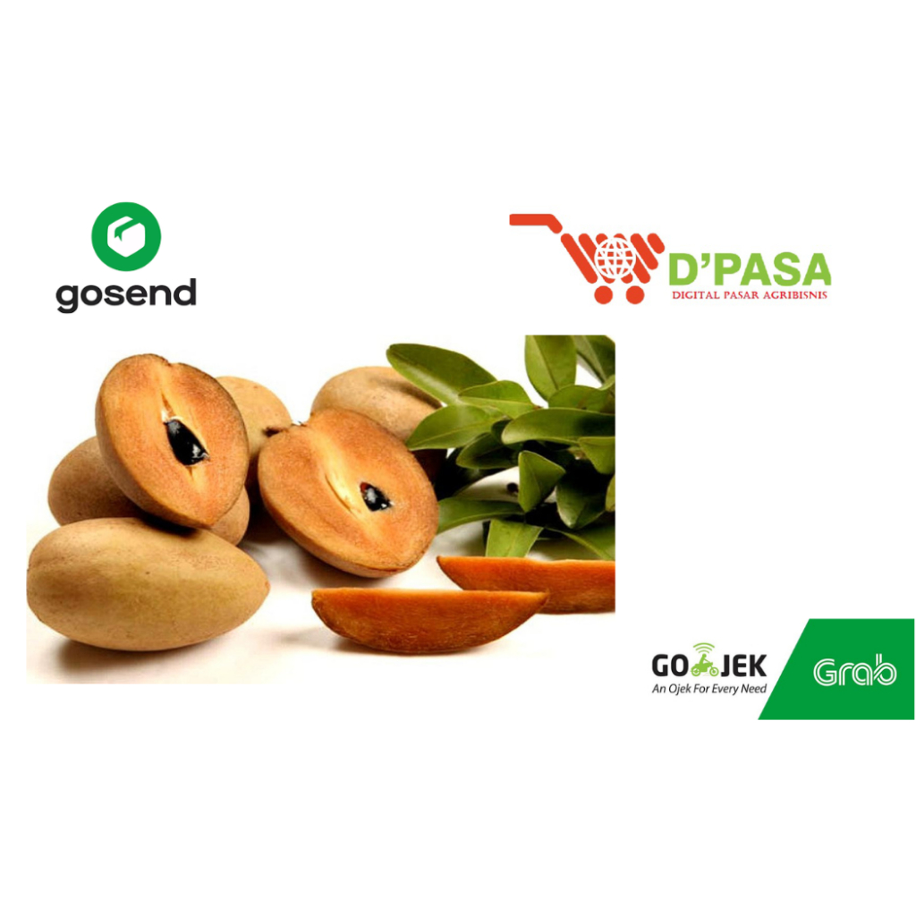

KIRIM INSTAN buah sawo fresh dpasa padang 1kg