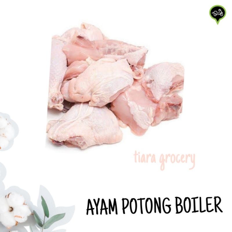 

Ayam potong