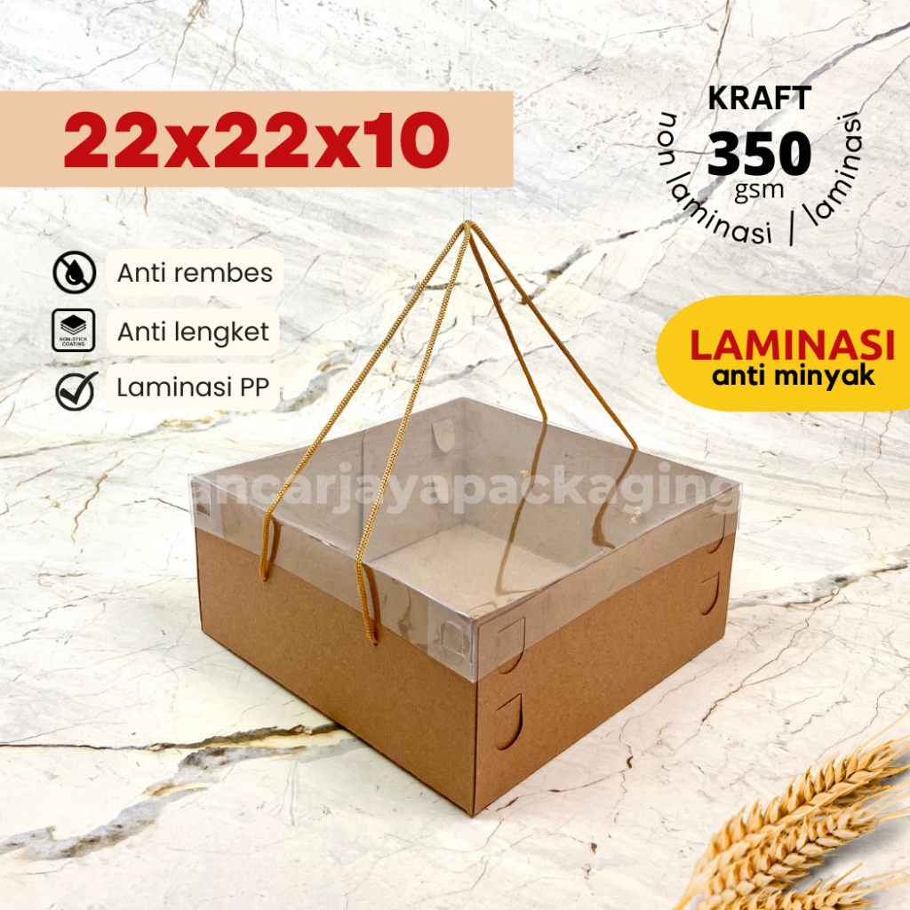 

Box Mika Tali Kotak Kemasan Jinjing Kue Tart Pudding Roti 22x22x10 cm