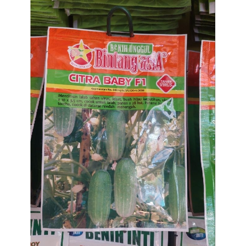 Benih Timun Mentimun Citra Baby kemasan 20 gram - Bintang Asia