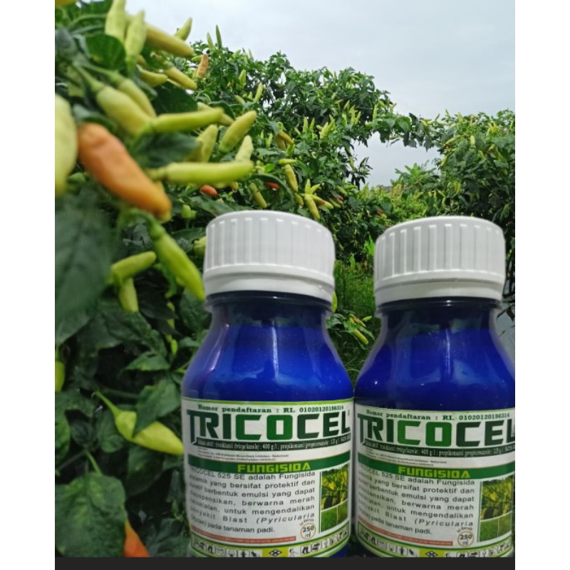 TRICOCEL FUNGISIDA SISTEMIK 250ML