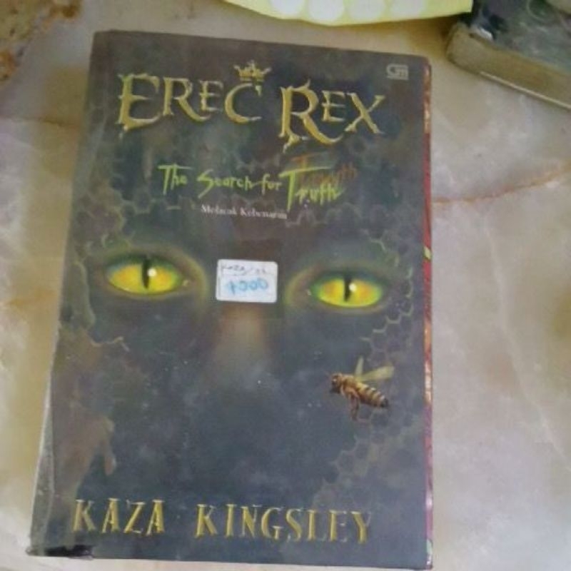 

Kaza Kingsley Novel