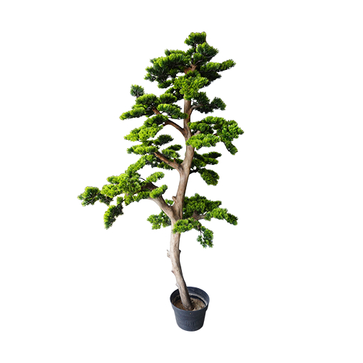 POHON BONSAI/ TANAMAN PLASTIK/ BONSAI JY MINI PINE T. 180CM