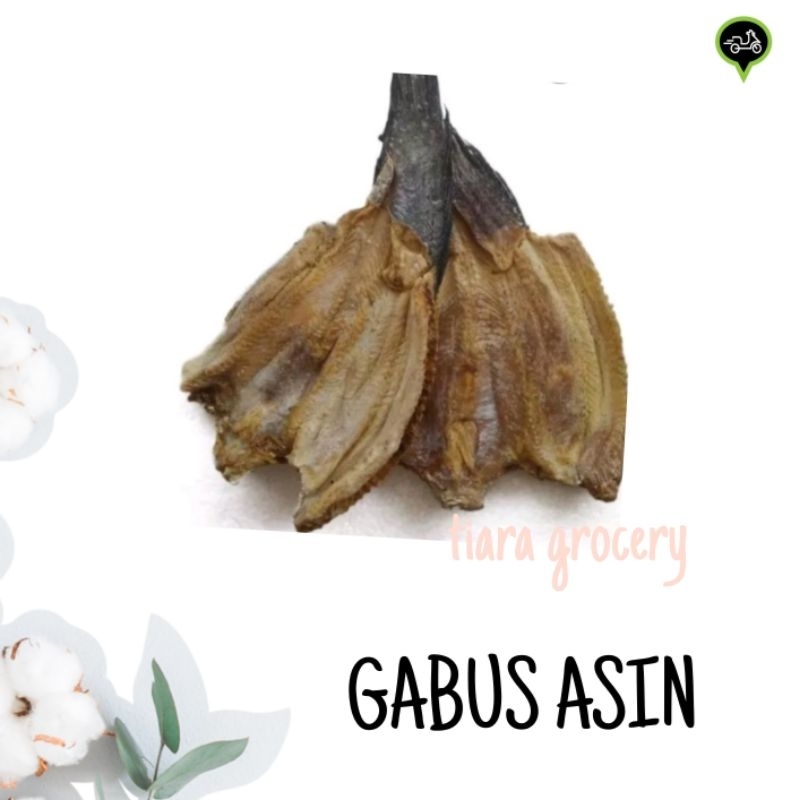 

Gabus asin