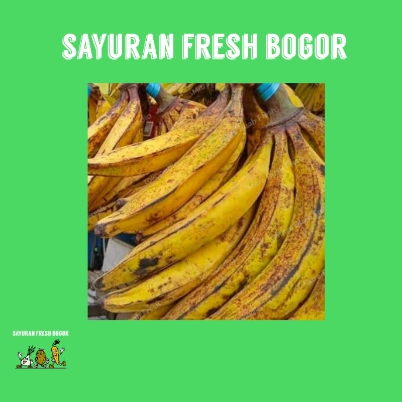 

Pisang Tanduk 3 Pcs | Sayuran Fresh Bogor
