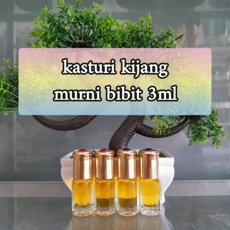 Parfum Kasturi Kijang Minyak Wangi Kasturi Kijang Asli Non Alkohol Botol 3 Ml Kualitas Terbaik Castu