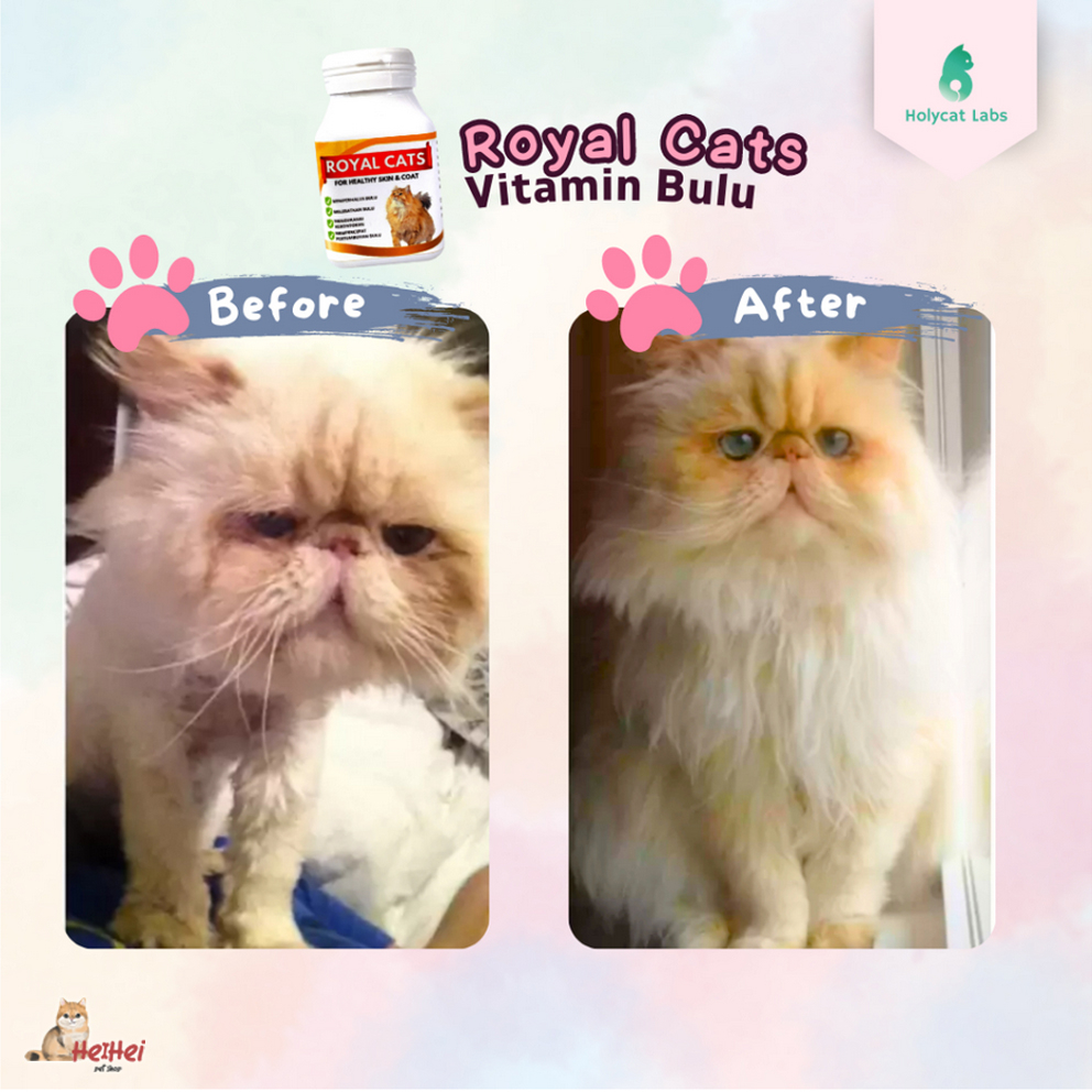 Royal Care Sachet -Vitamin Rambut Bulu Lebat Kucing Anti Rontok Kitten - Royal Cats Kucing isi 5 kapsul