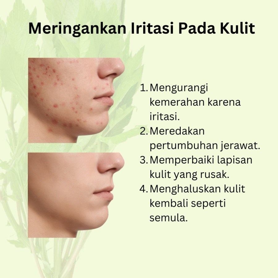 FEALI Mugwort Clay Stick Acne &amp; Repairing Clay Stick