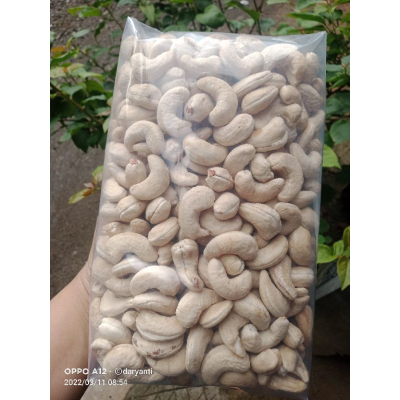 

kacang mete mentah SUPER