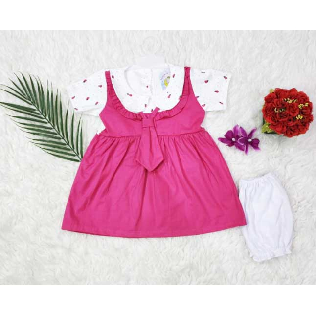 [F 04] Dress Bayi Perempuan bordir cantik 3-12 bulan