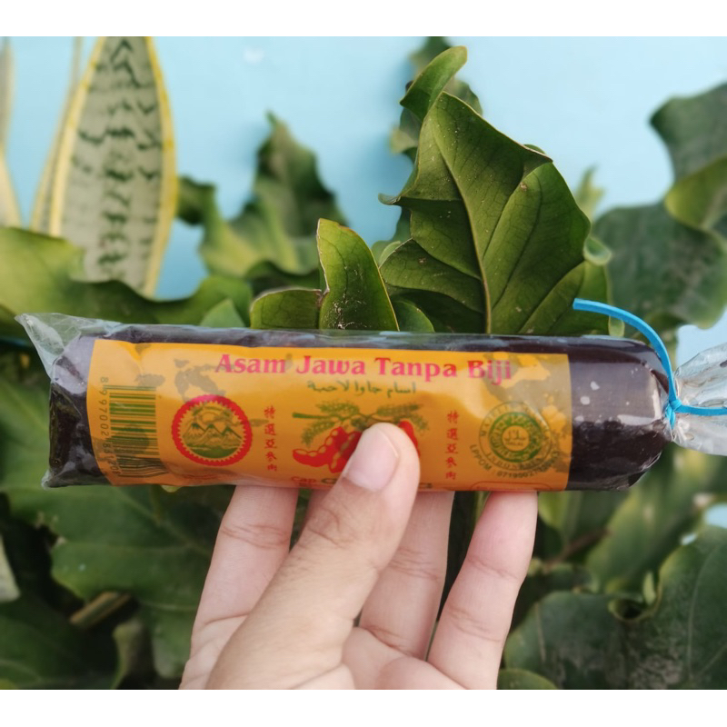 

ASAM JAWA TANPA BIJI