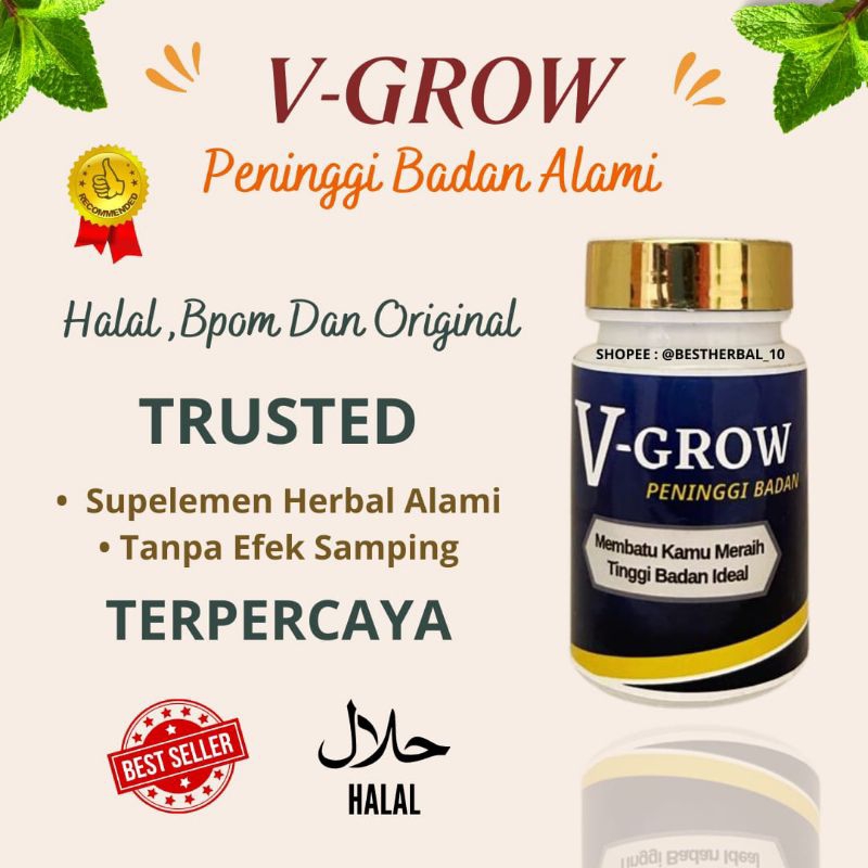 V-Grow Kapsul Peninggi Badan Alami Terampuh