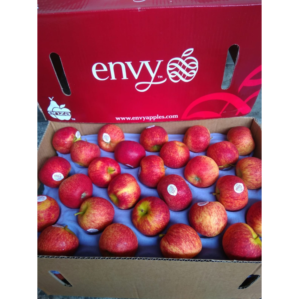 

BUAH APEL ENVY NEW ZEALAND APPLE FRESH IMPORT PER DUS