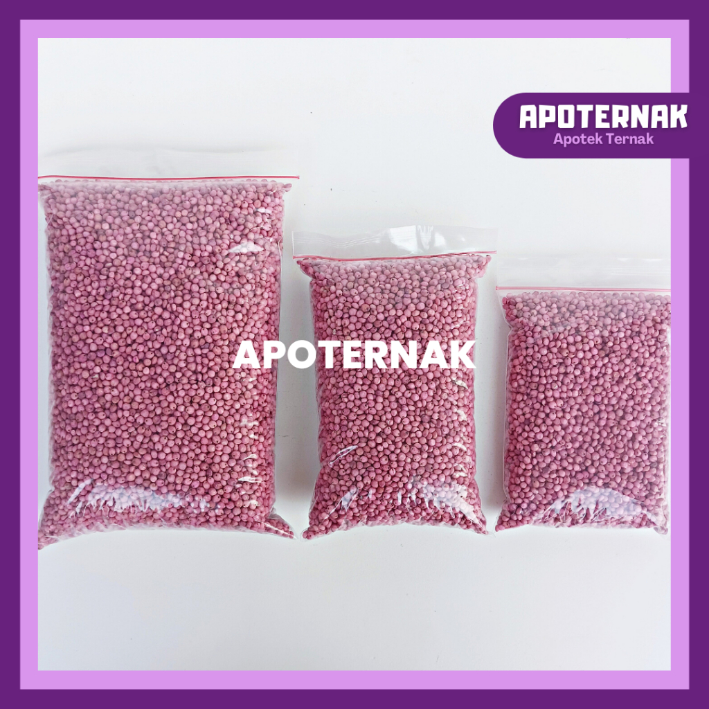 BIBIT SORGUM SOPER 9 | Benih Sorgum Varietas Soper 1 kg | Sorghum Cantel hijauan pakan ternak