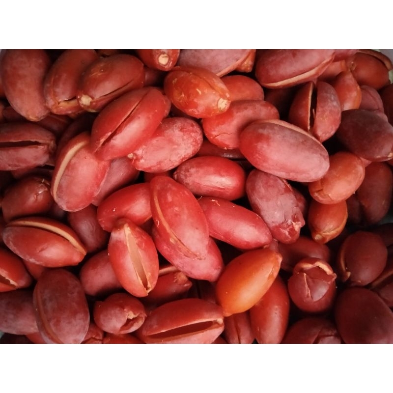 

KULIT MELINJO SUPER (1kg) KULIT MELINJO ORIGINAL MURAH FRES