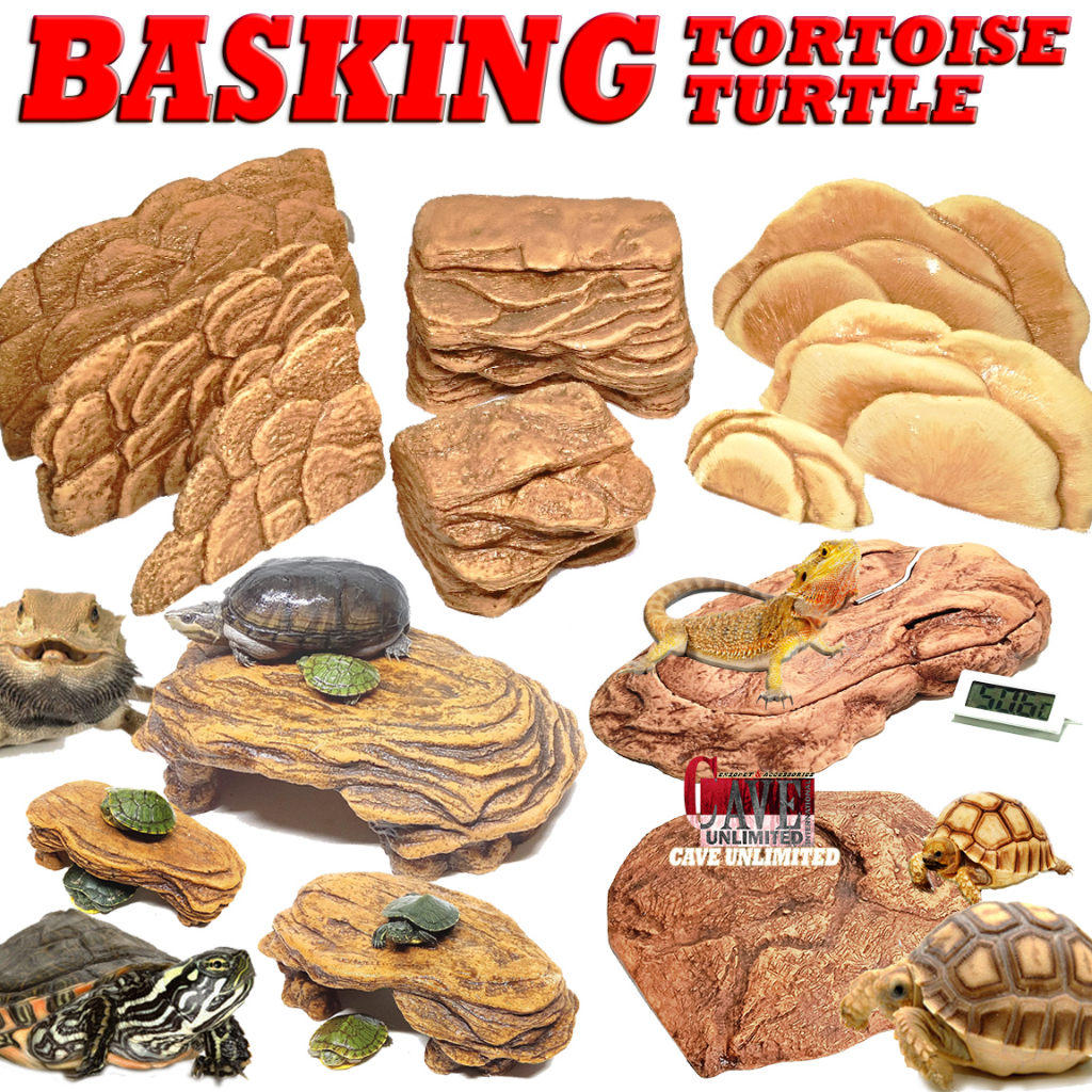 BASKING SPOT RAMP KURA KURA AIR BRAZIL AMBON CST RES DAMER KADAL TORTOISE SULCATA TANGKRINGAN TEMPAT