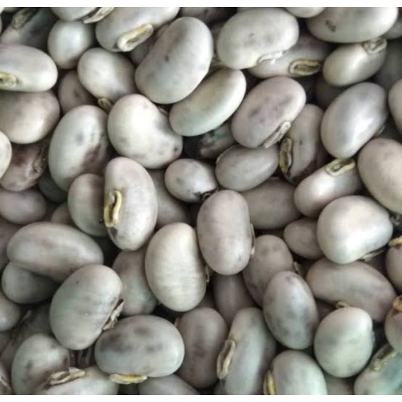 

Benguk bijian mentah,Wonogiri. kemasan 500 gram