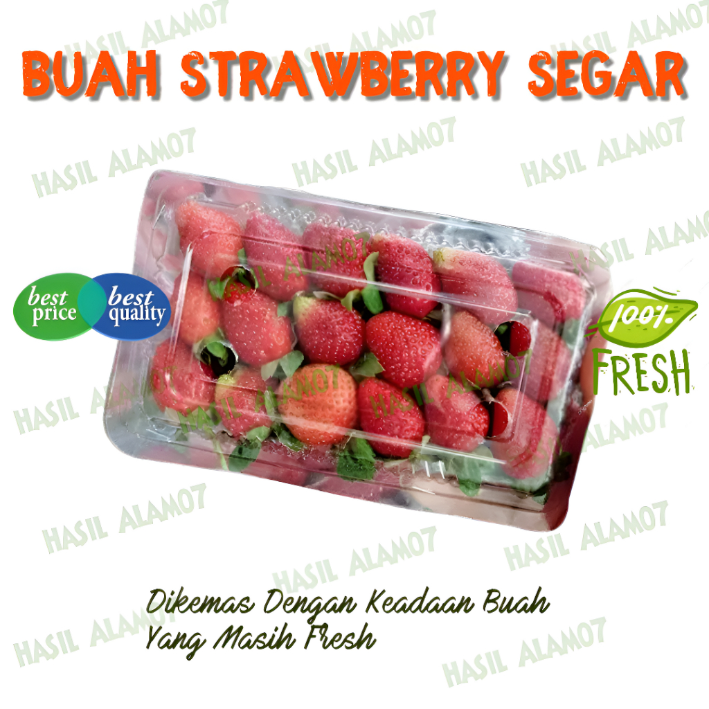 

Buah Strawberry Kemasan Fresh 1 Pack