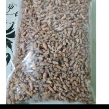 

Baby cumi medan 500 gram