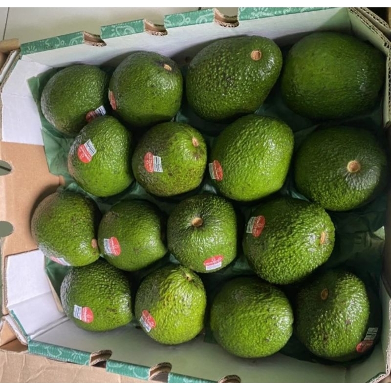 

Alpukat Australia Super 5 Kg / Box