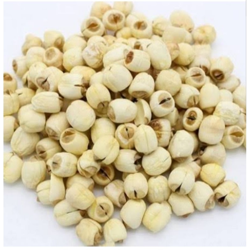 

Biji teratai / Lotus Seed/ Lien ci super 50 gram