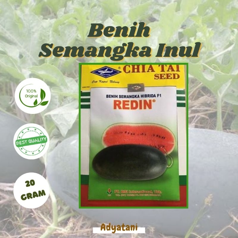Benih Bibit Semangka Inul Redin 20 Gram Original