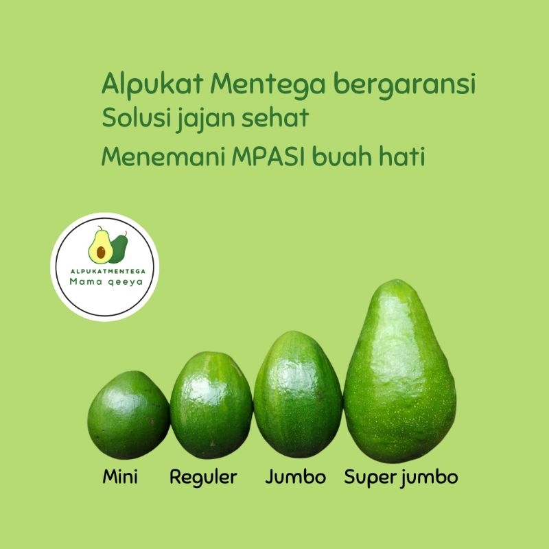 

3KgAlpukatminiMentegaBergaransi