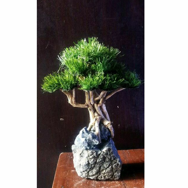 POHON BONSAI AQUASCAPE RUMPUT SINTETIS