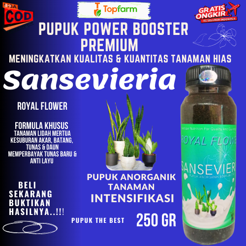Pupuk Tanaman Hias Sansevieria / Pupuk Royal Flower 250 GR / Pupuk Tanaman Semua Jenis / Pupuk Tanam