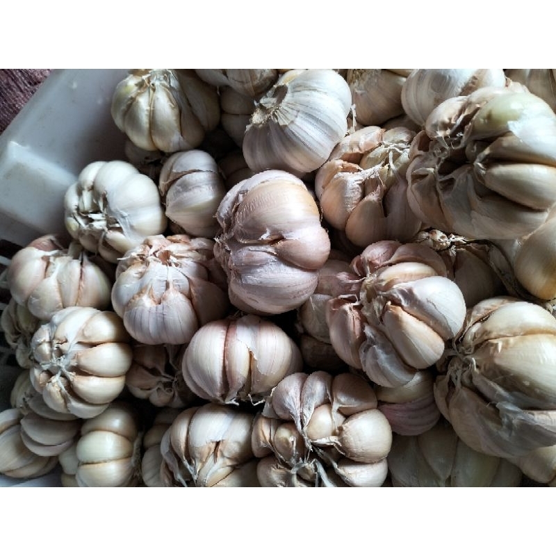 

BAWANGPUTIH 500gram