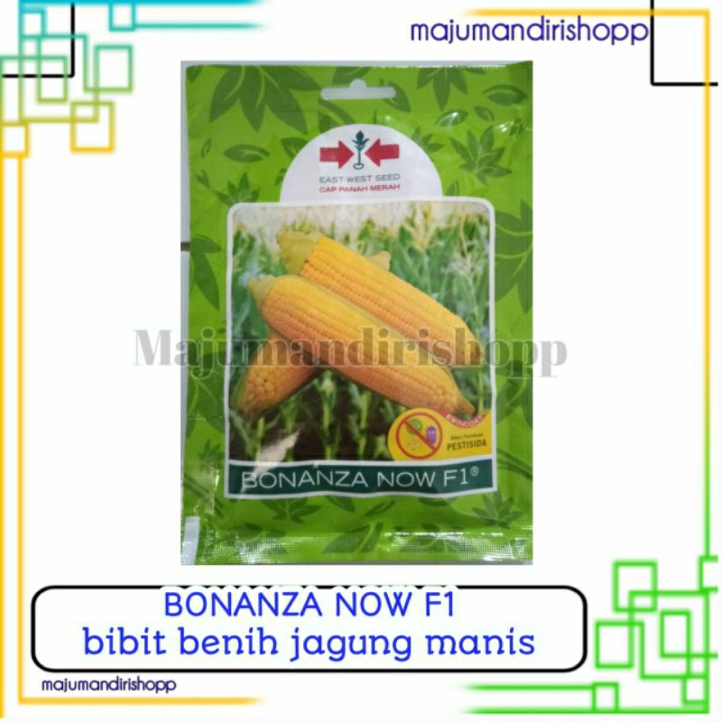 BIBIT JAGUNG MANIS BONANZA F1