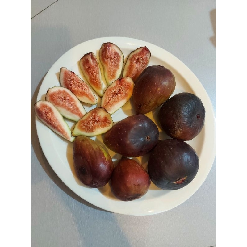 

BUAH TIN/FIG/ARA PREMIUM 1 KG