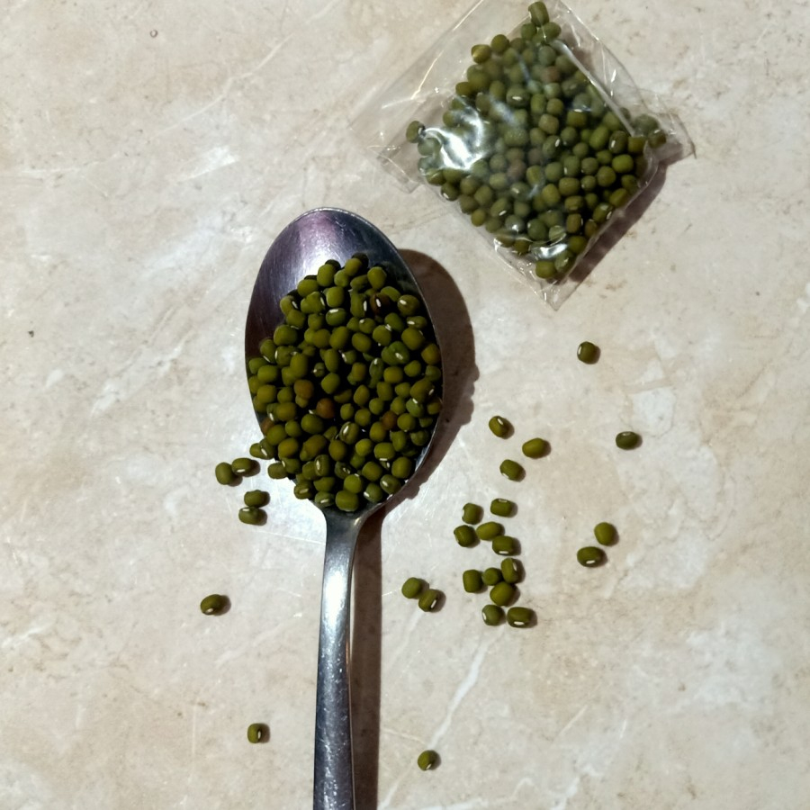 Biji Kacang Ijo Prakarya Kolase/Prakarya Kolase Anak Sekolah