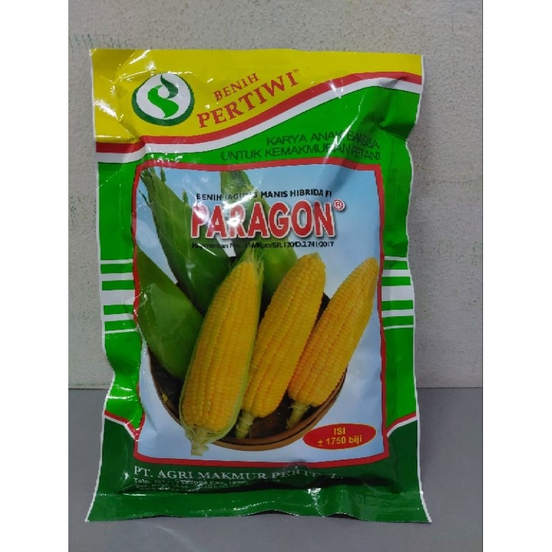 jagung paragon