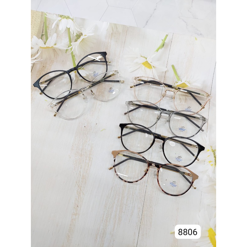 frame 8806 frame besi