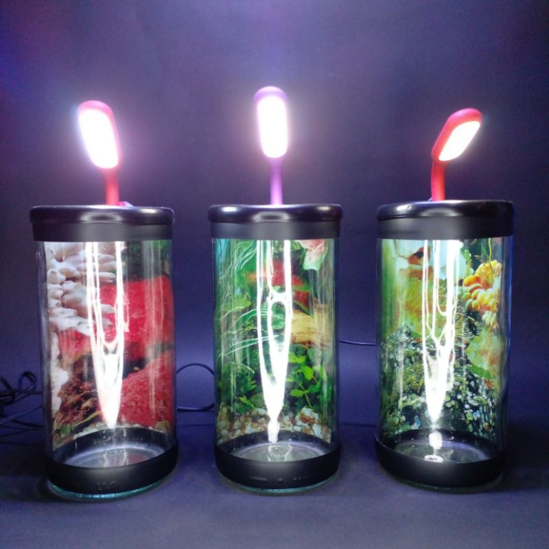 Aquarium mini/ Soliter Cupang/ Soliter mini/ Soliter ikan/ Botol ikan Cupang/ Aquarium ikan hias/ Wa