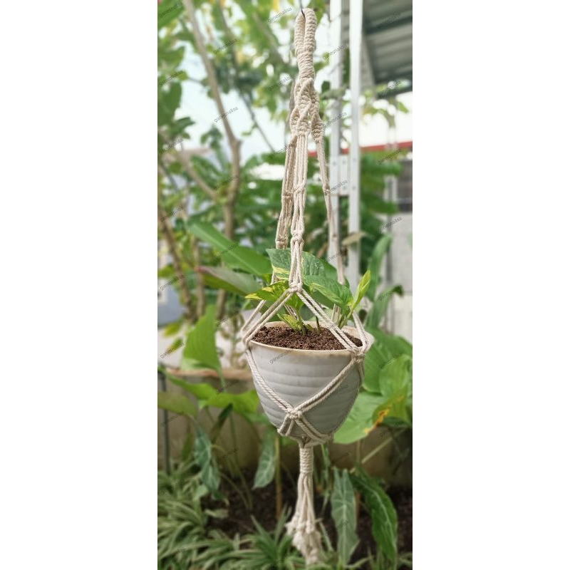pot gantung macrame / macrame pot plant hanger / pot gantung tanaman