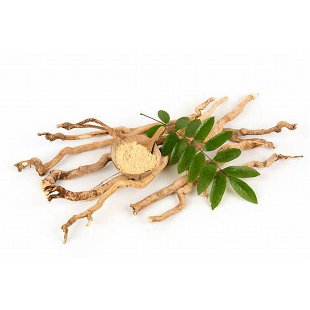

Akar Pasak Bumi Bubuk (500 gram) / Tongkat Ali Root Powder