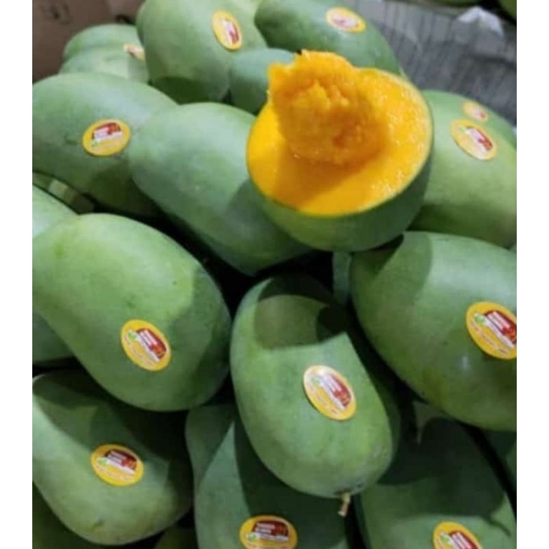 

Buah Mangga Alpukat
