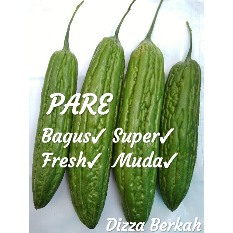 

Pare/500gr/Bacus/Fresh/Dizza Berkah