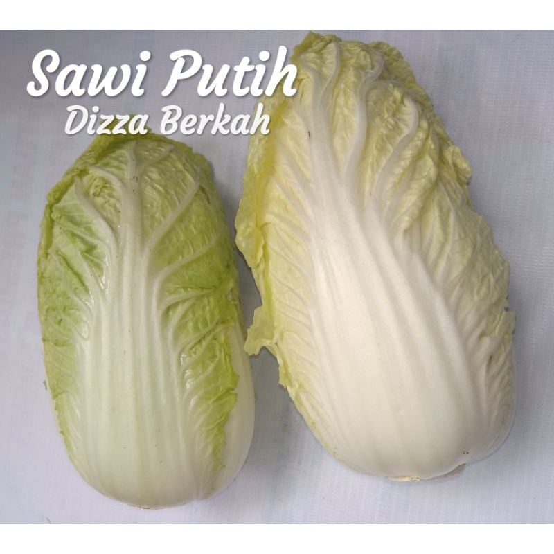 

Sawi Putih/Sawi/500gr/Fresh/Bagus/Pilihan/Dizza Berkah