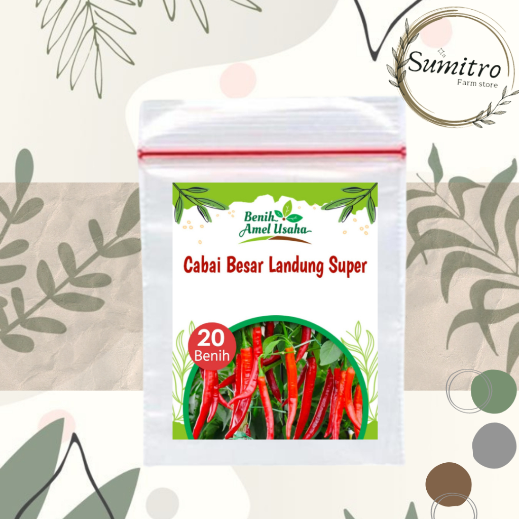 benih cabai besar merah landung super isi 20 benih / bibit cabai merah besar plastik klip / benih sa