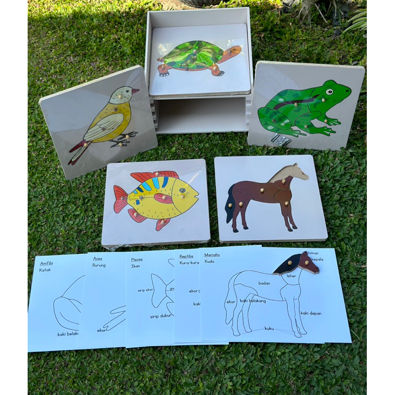 Montessori  Puzzle kuda/ katak/ kura/ burung/ ikan (zoology montessori free control map