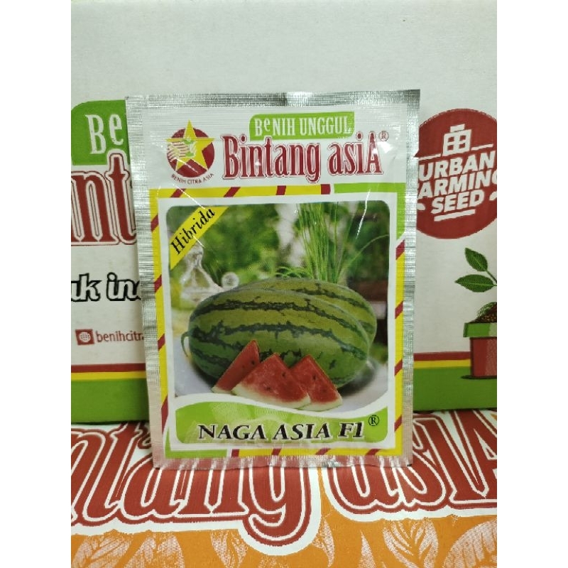 Benih Semangka Merah Lonjong NAGA ASIA F1 20 Gram - Bintang Asia Bibit Semangka
