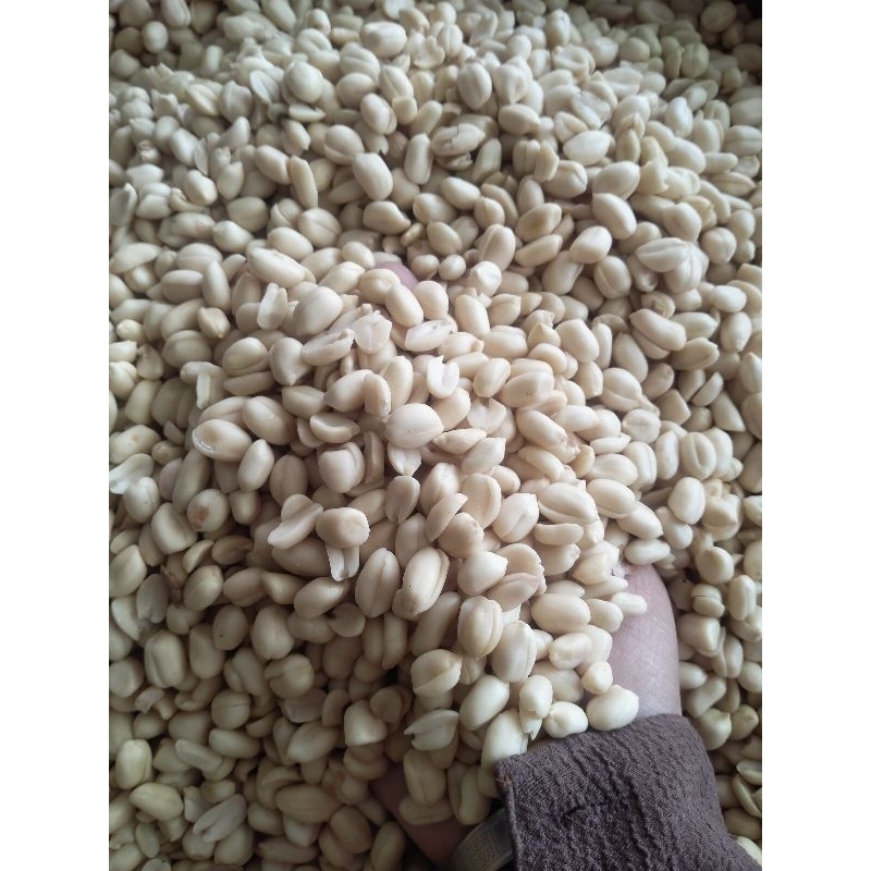 

kacang plecet Jawa 500gr (mentah)