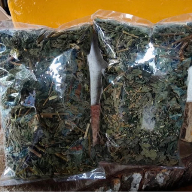 

daun kirinyuh kering